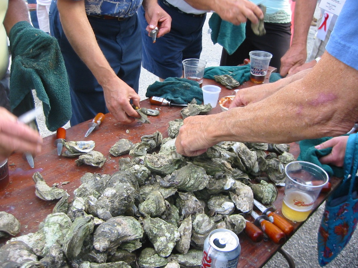 How to Throw an Oyster Roast Carolina Meat & Fish Co.